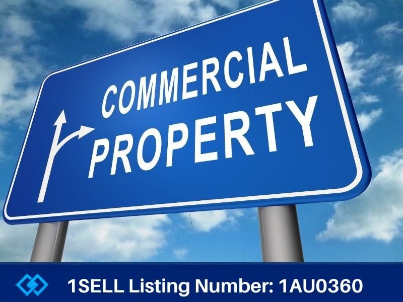 Home &raquo; Business Sales Experts